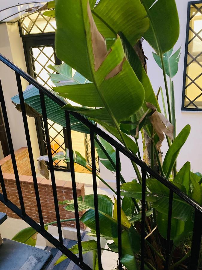 Lavica Di Mezzo Apartments كاتانيا المظهر الخارجي الصورة