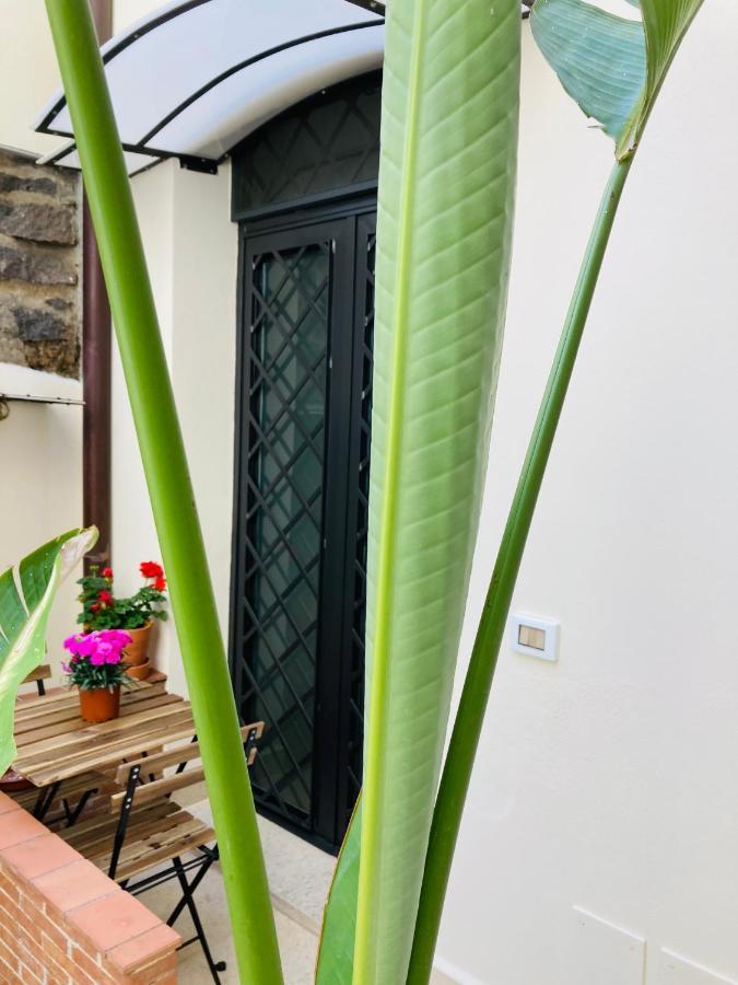 Lavica Di Mezzo Apartments كاتانيا المظهر الخارجي الصورة