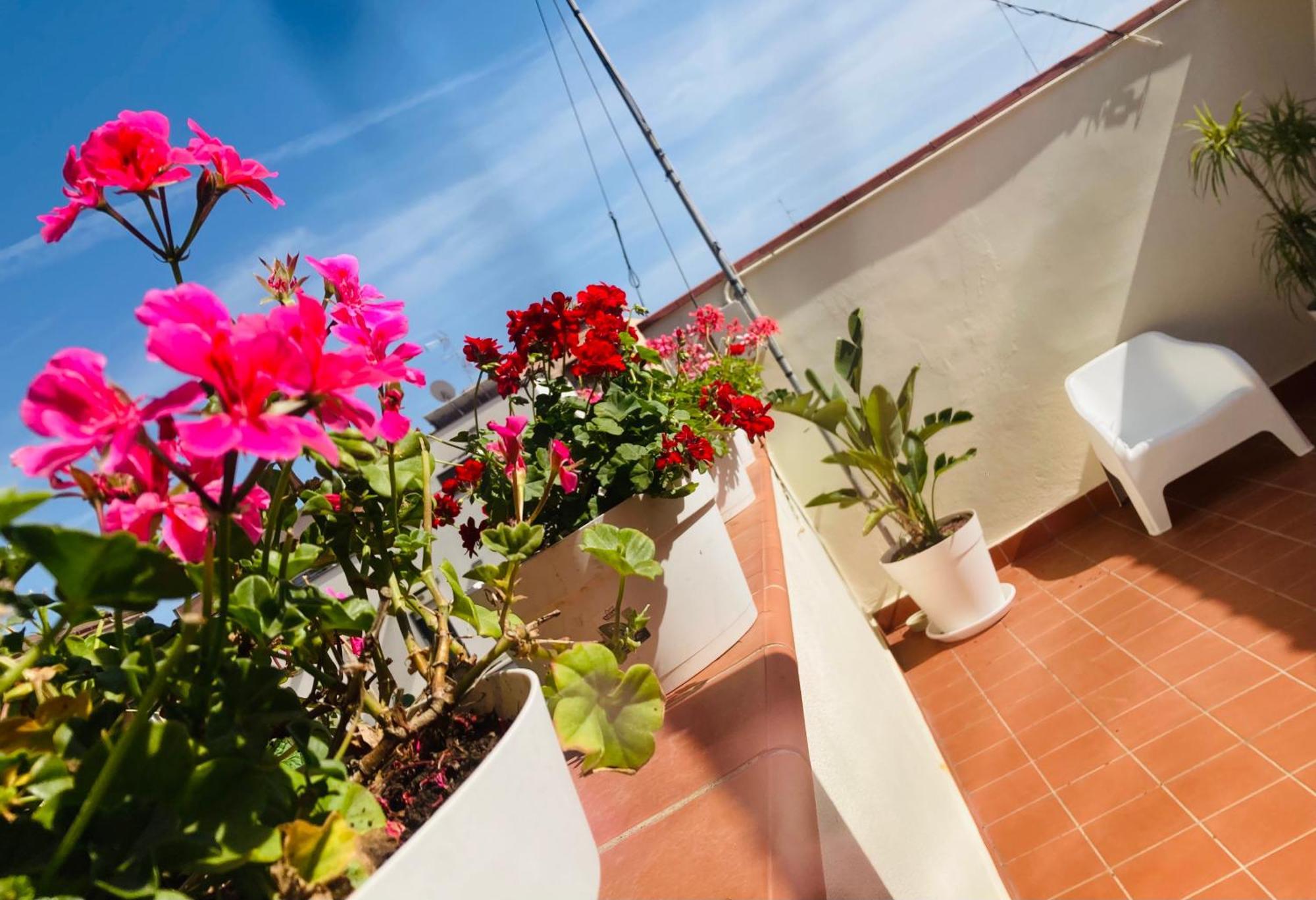 Lavica Di Mezzo Apartments كاتانيا المظهر الخارجي الصورة